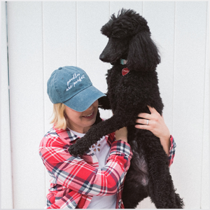 Poodles Are Perfect Embroidered Hat
